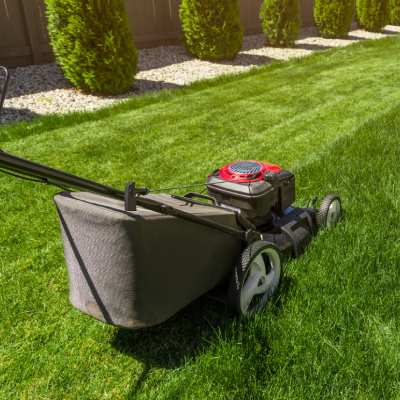 LAWN MOWING