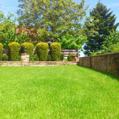YARD CLEANUP